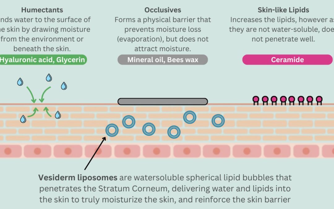 The Limitations of Traditional Moisturizers